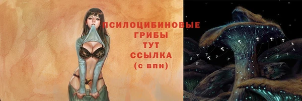 прущий лед Алексин